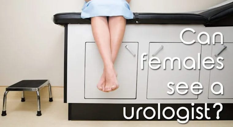 Can females see a urologist?