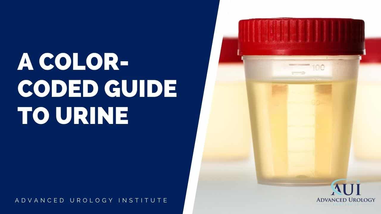 Urine Color Chart What s Normal And When To See A Doctor 43 OFF