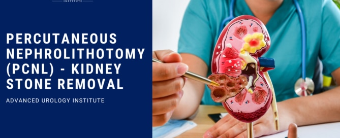 Percutaneous Nephrolithotomy (PCNL) - Kidney Stone Removal